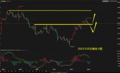 mt4白标搭建粉丝们可以登