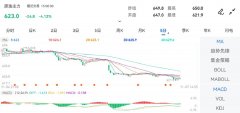 成交量：229693手2023年11月