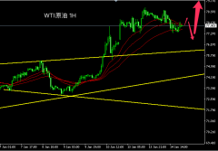 原油短线H)走势高位震荡