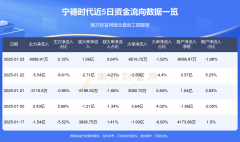 最新报20.600元2025年1月29日